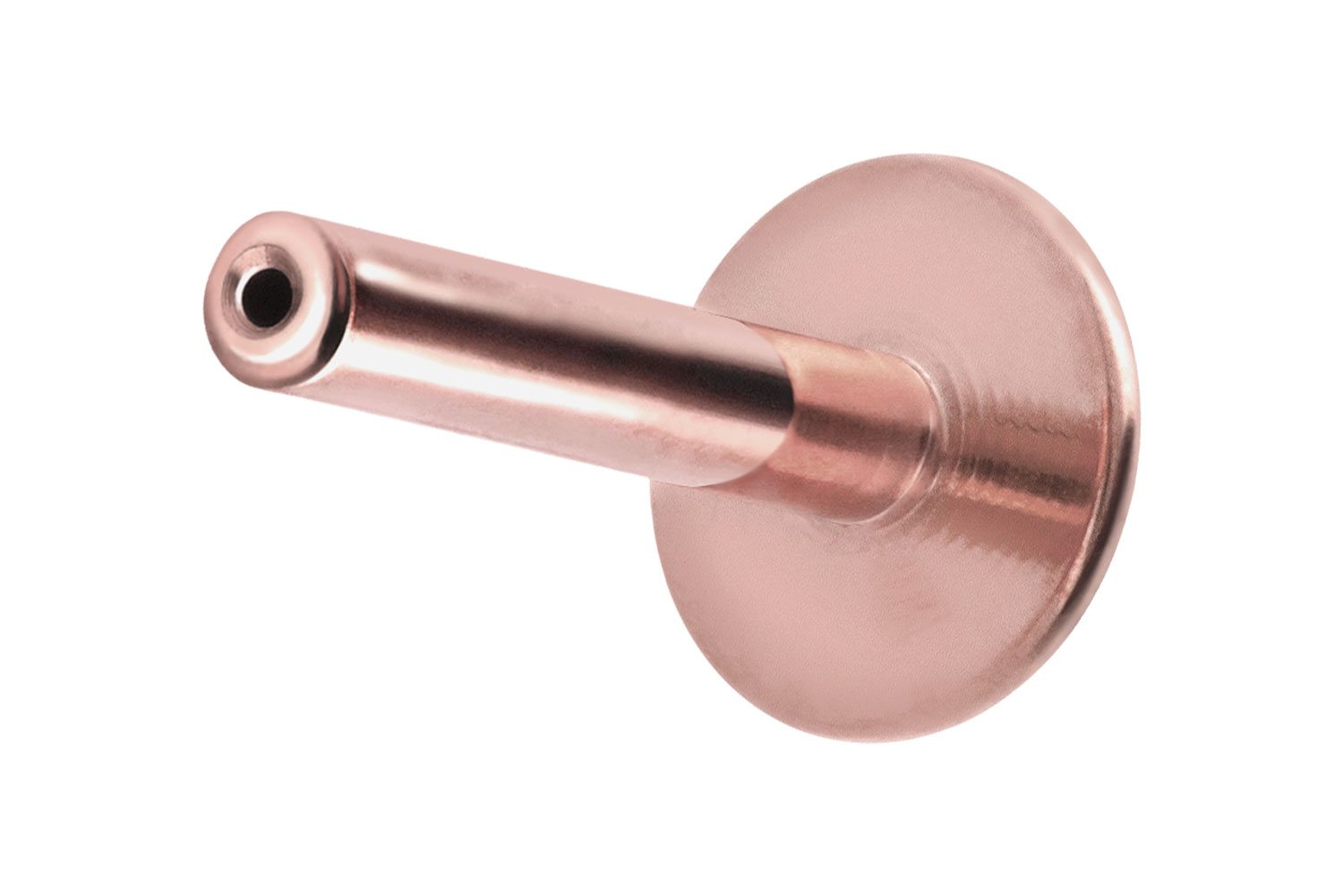 Titan Labret Piercing mit Push Fit ohne Kugel ABGERUNDETE PLATTE